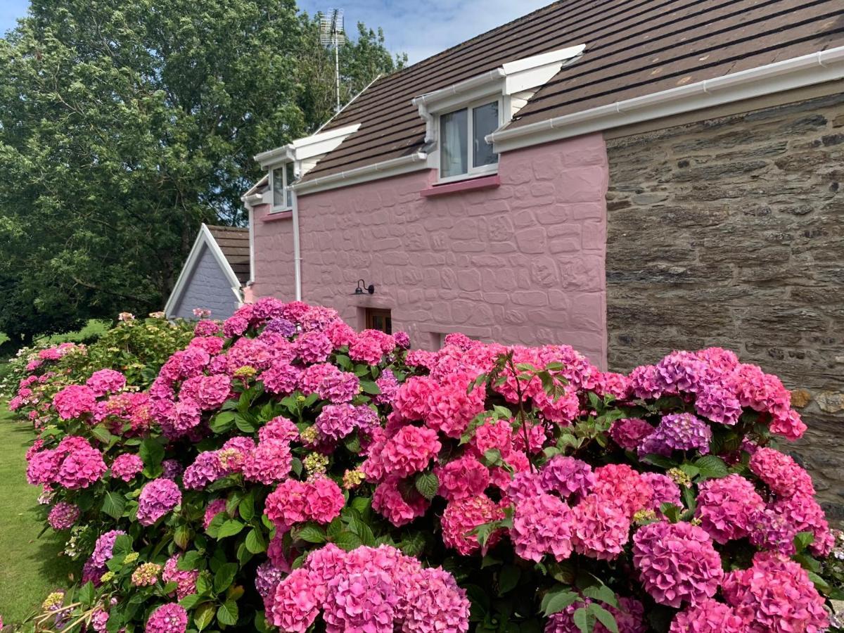 Canllefaes Cottages 카디건 외부 사진